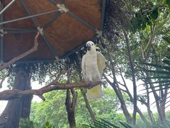 -广州长隆飞鸟乐园