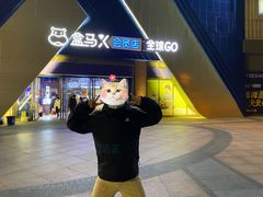 -盒马X会员店(上海森兰商都店)