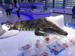 -澜悦港海鲜体验主题餐厅