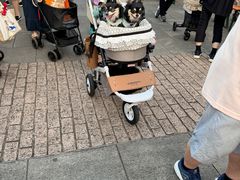 -横滨红砖仓库1号馆
