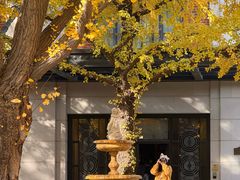 -上海瑞金洲际酒店