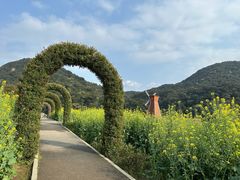 -广州市石门国家森林公园