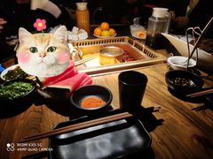 -九鼎轩脆毛肚火锅(商业街店)