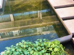 -大理老字号·舟渔的鱼野生菌海景餐厅(双廊店)