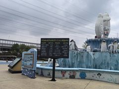 -芜湖新华联大白鲸海洋公园