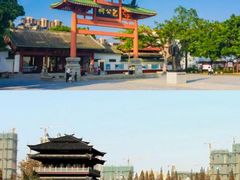 -合肥野生动物园