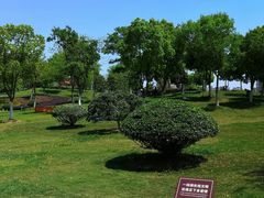 -滨湖塘西河公园