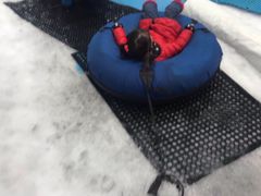 -Mr·Kuma酷么先生雪之乐园
