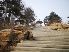 -大兴滨河森林公园