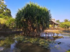 -中国科学院西双版纳热带植物园