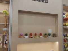 -帕帕拉兹宠物(亚洲旗舰店)