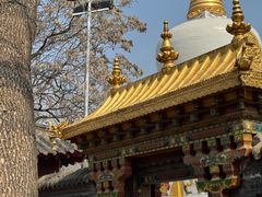 -护国法轮寺