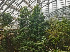 -南山植物园