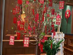 -蝶园·装修中(BFC外滩金融中心店)