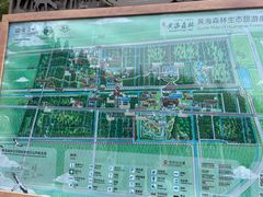 -黄海国家森林公园