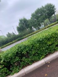 -HEYAN长风荷妍专业脱毛美肤
