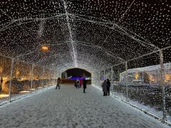 -长春世界雕塑园冰雪艺术天地