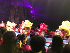 -广州长隆国际大马戏