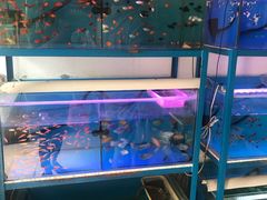 -秦美花卉(天朗·莱茵小城2期店)