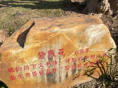 -深圳仙湖植物园