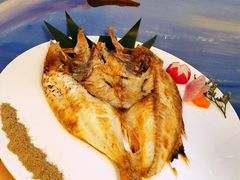 -鲔屋寿喜烧