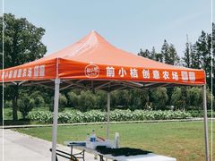 -前小桔亲子创意农场·草莓采摘·露营烧烤