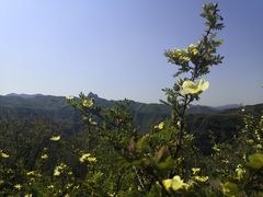 -山西通天峡景区