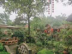 -青城甲(青城山店)