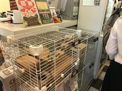 -龙猫仔乐园(惠福东路店)