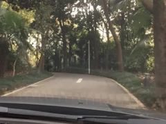 -春兰国宾馆(凤城河风景区老街店)