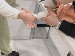 -艾吉宠物医院·疑难杂症转诊中心·猫友好(碧江路院)