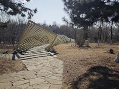 -莫子山公园
