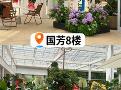 -国芳中心