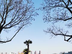 -白塘生态植物园
