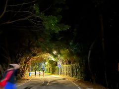 -西涌国际滨海旅游区