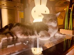 -咖法森林·咖啡  酒吧(天河店)