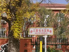 -三里屯东五街银杏大道