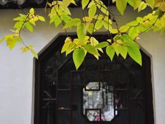 -上海醉白池公园