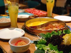 -青瓷火锅料理(西单大悦城店)