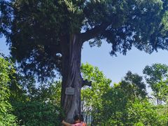 -金堂县云顶石城风景区