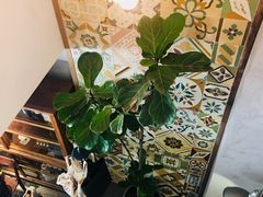 -时光花园(白鹭洲店)