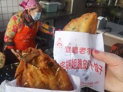 -半月镰胡姐脆皮萝卜饺子