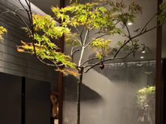 -王府茶楼茶宴·创意菜(朝阳公园店)