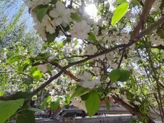 -元大都城垣遗址公园