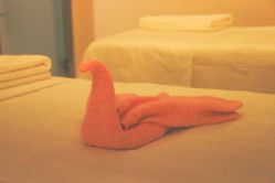 -美丽田园Beauty Farm