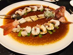 东星斑-甄御•海鲜新青岛菜(麦岛店)