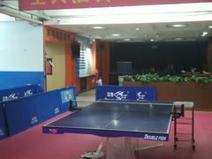 -大凤凰乒乓球馆