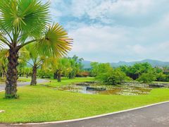 -中国科学院西双版纳热带植物园