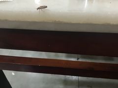 -老诚一锅·京皖早点(通州店)