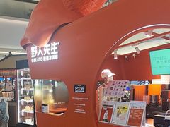 -野人先生现做冰淇淋(北京王府井东方新天地店)